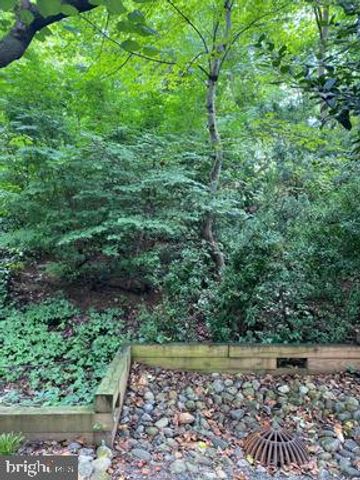 3319 VALLEY DR, Alexandria, VA 22302