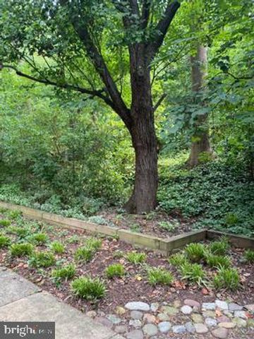 3319 VALLEY DR, Alexandria, VA 22302