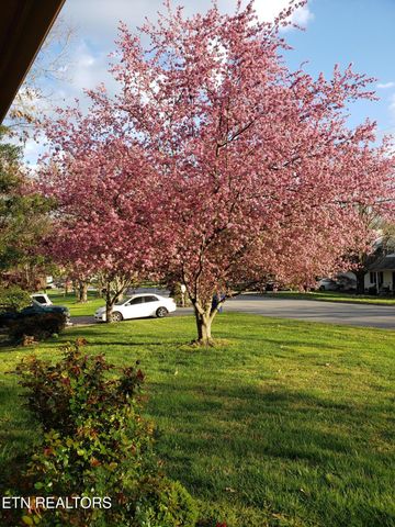 6600 Springer Drive, Knoxville, TN 37918