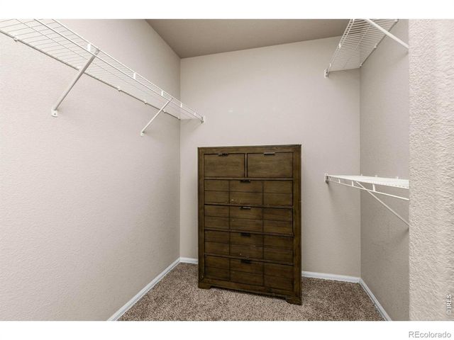 805 Mt Sneffels Avenue, Severance, CO 80550