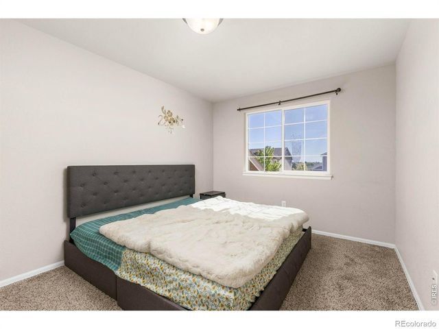 805 Mt Sneffels Avenue, Severance, CO 80550