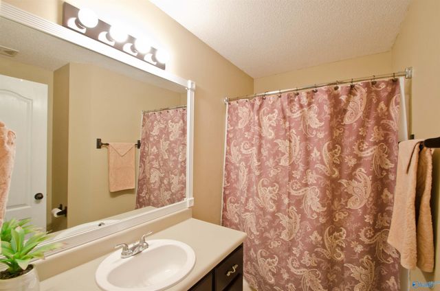 114 Poplar Green Lane, Harvest, AL 35749