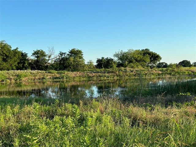 TBD CR 137, Carlton, TX 76436