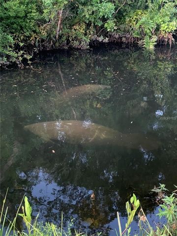 5470 RIVERWALK PRESERVE DRIVE, New Port Richey, FL 34653