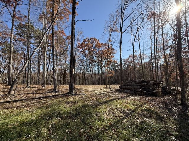 Lot 24 Crestview Point, Mineral Bluff, GA 30559