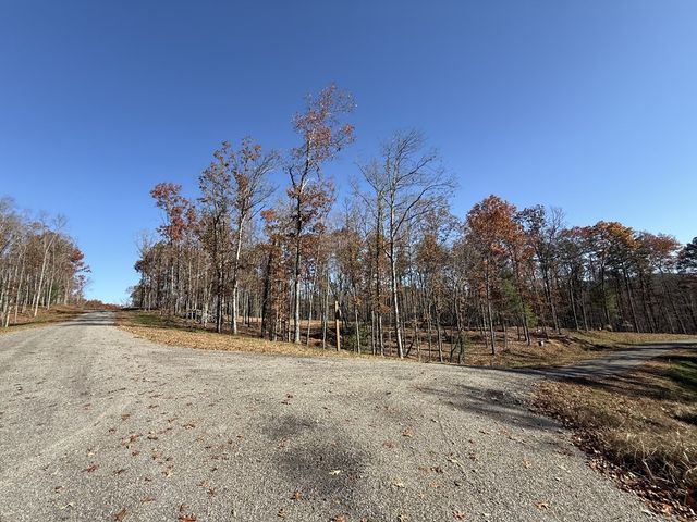 Lot 24 Crestview Point, Mineral Bluff, GA 30559