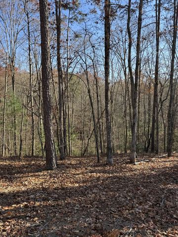 Lot 24 Crestview Point, Mineral Bluff, GA 30559