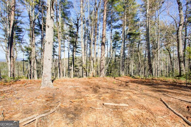 0 River Flow Drive, Dahlonega, GA 30533