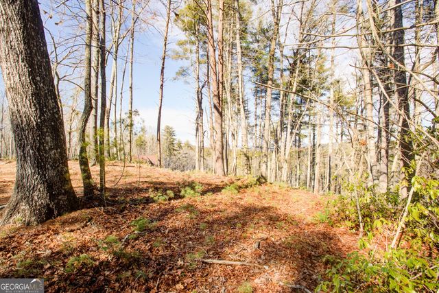 0 River Flow Drive, Dahlonega, GA 30533