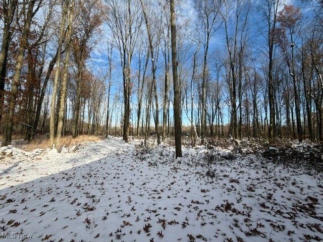 5834 Downs Road NW, Warren, OH 44481