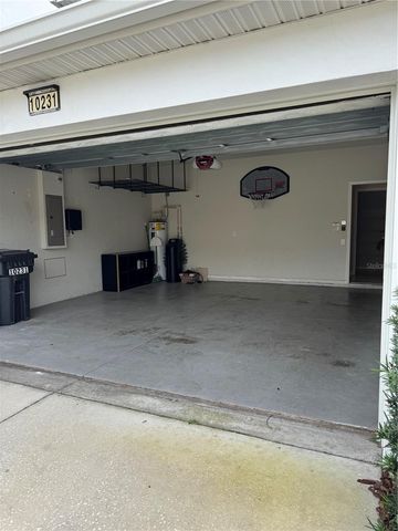 10231 PINK PALMATA COURT, Riverview, FL 33578