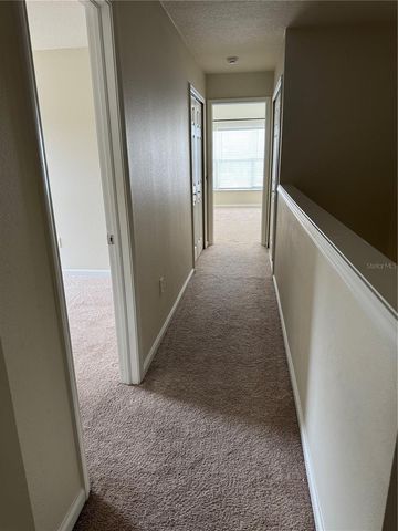 10231 PINK PALMATA COURT, Riverview, FL 33578