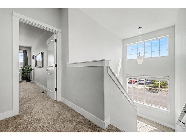 2069 Day Spring Dr, Windsor, CO 80550