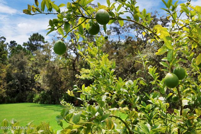 576 TIMBER LIGHT Trail, Ponte Vedra, FL 32081