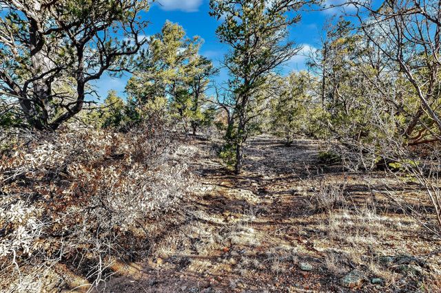 0 La Posta Way Tract 7-2, Santa Fe, NM 87505