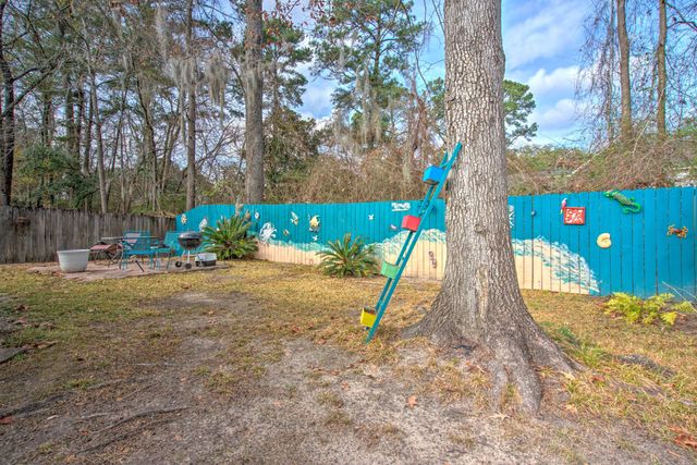 202 Moon Shadow Lane, Summerville, SC 29485