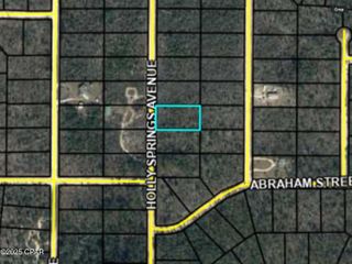 0000 Holly Springs Avenue, Alford, FL 32420