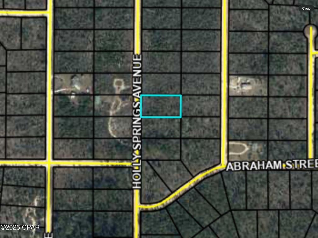 0000 Holly Springs Avenue, Alford, FL 32420