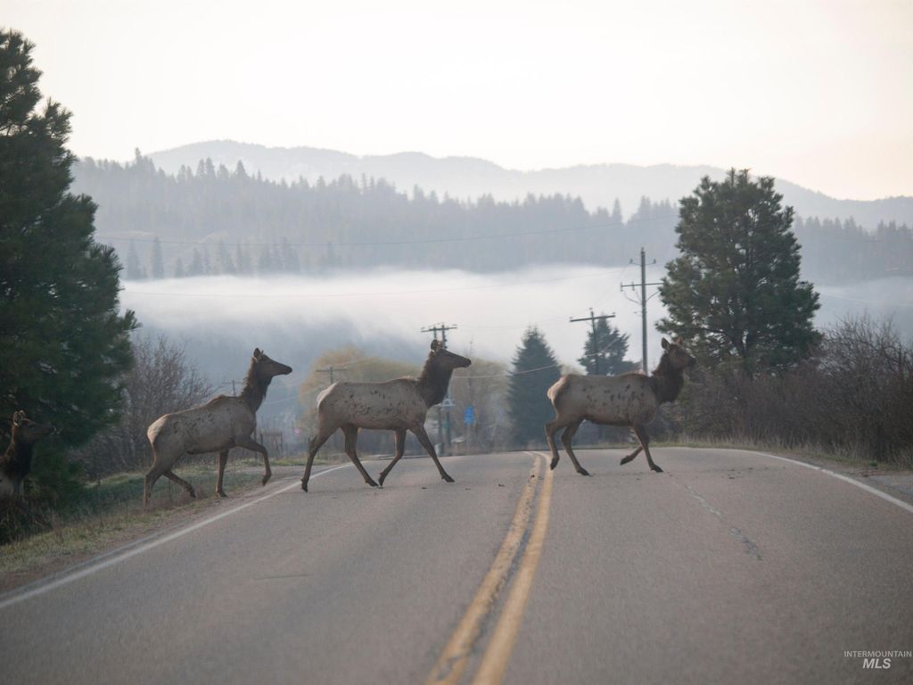 Blk 5 Lot 20 Alder Creek Dr, Garden Valley, ID 83622 photo 44