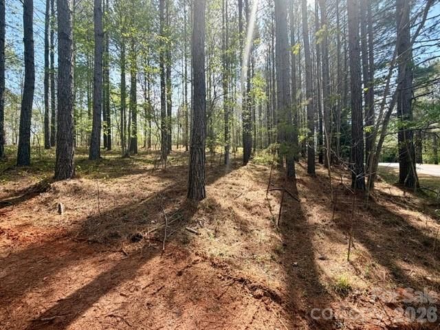 430 Clearwater Parkway, Rutherfordton, NC 28139