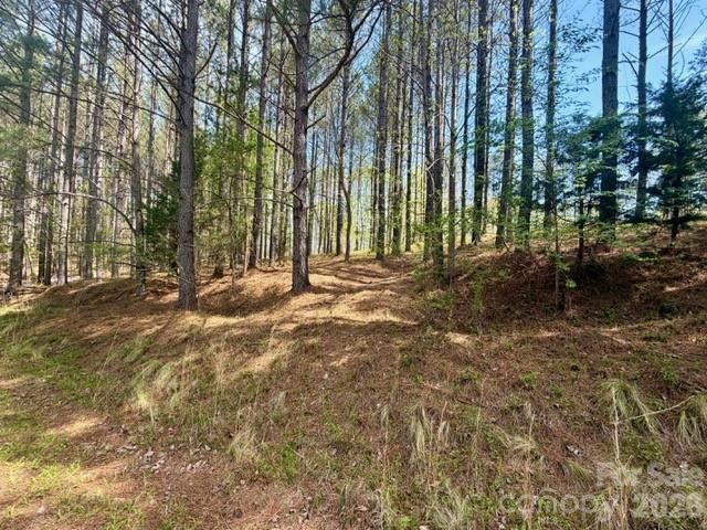 430 Clearwater Parkway, Rutherfordton, NC 28139