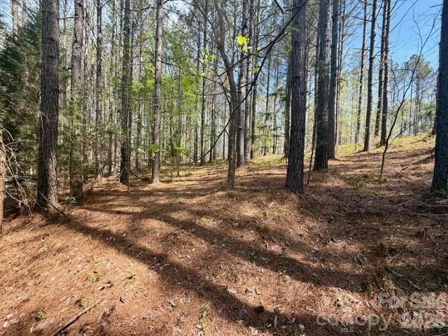 430 Clearwater Parkway, Rutherfordton, NC 28139