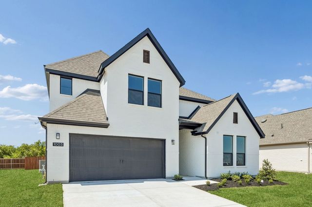 1003 Goldenrod Drive, Justin, TX 76247