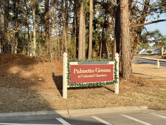 199 Palmetto Green Dr., Longs, SC 29568