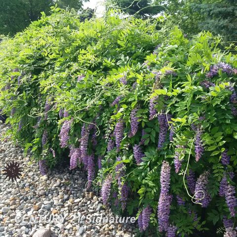 3500 Woodridge Court, Flushing Twp, MI 48433