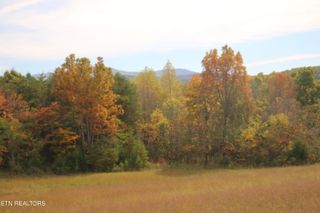 29 Acres Ballplay Road, Tellico Plains, TN 37385