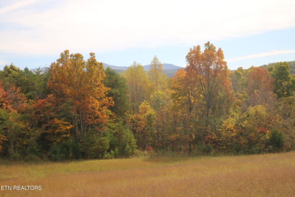 29 Acres Ballplay Road, Tellico Plains, TN 37385