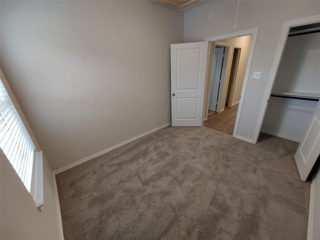 6438 Calhoun Road, Houston, TX 77021