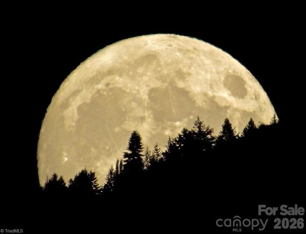 204 Violet Ridge, Lowgap, NC 27024