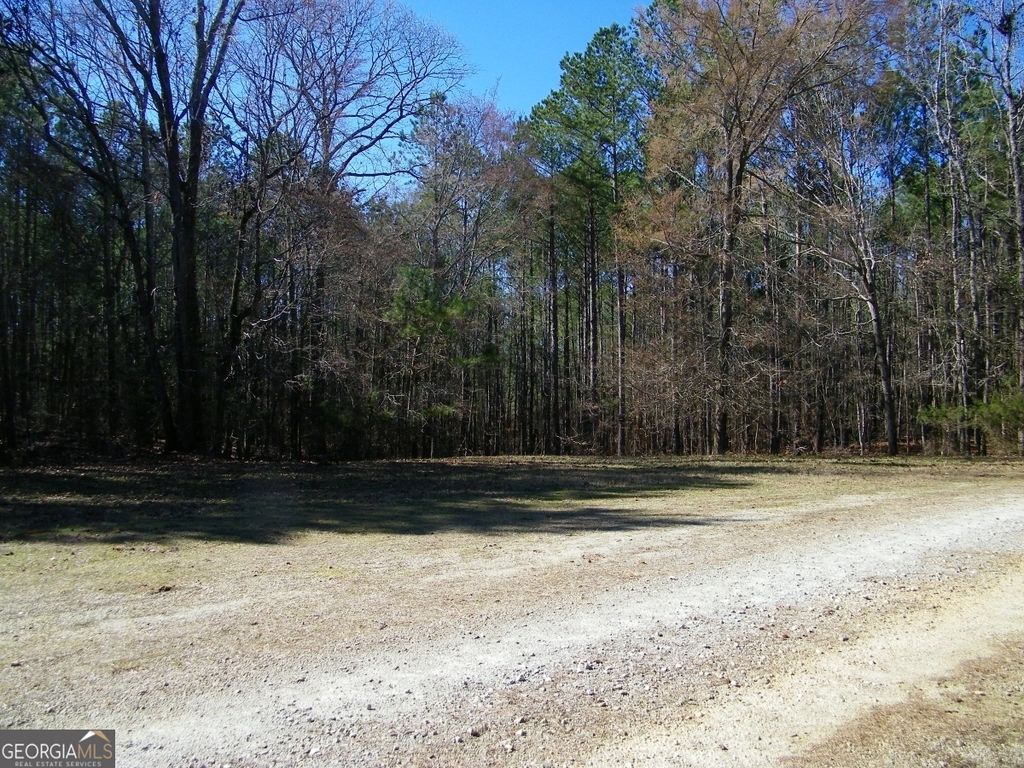 LOT 17 Blackberry Bend, Elberton, GA 30635 — photo 2