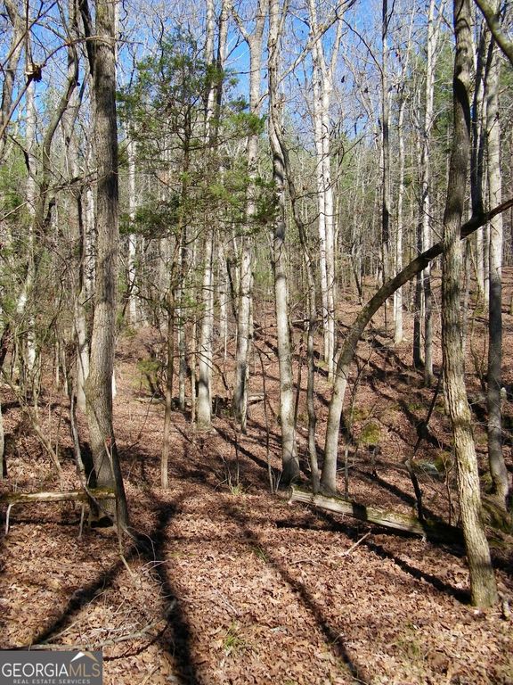 LOT 17 Blackberry Bend, Elberton, GA 30635 — photo 3