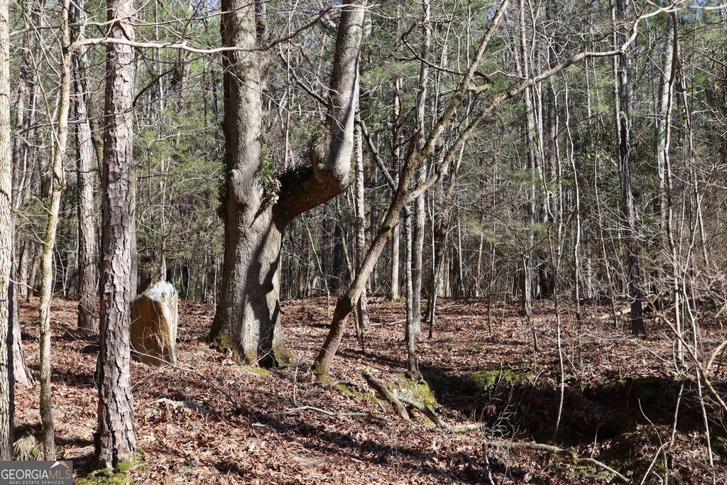 LOT 17 Blackberry Bend, Elberton, GA 30635 — photo 4