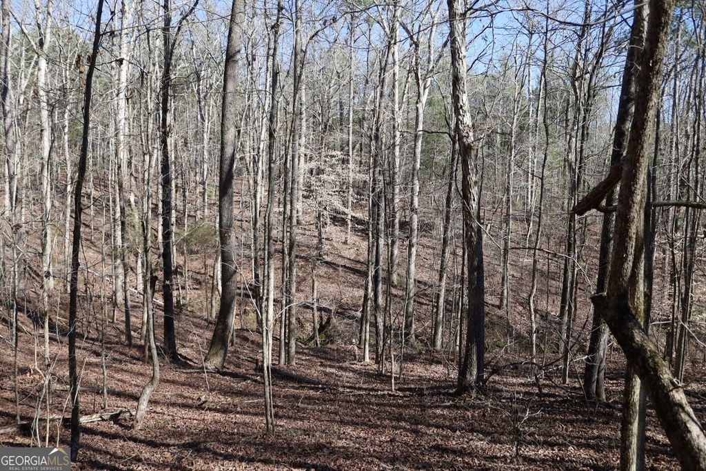 LOT 17 Blackberry Bend, Elberton, GA 30635 — photo 5