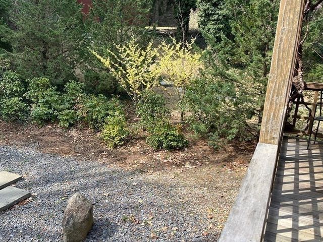 38 Cumberland Avenue, Brookline, MA 02445