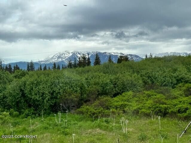 51405 Mossberry Avenue, Homer, AK 99603