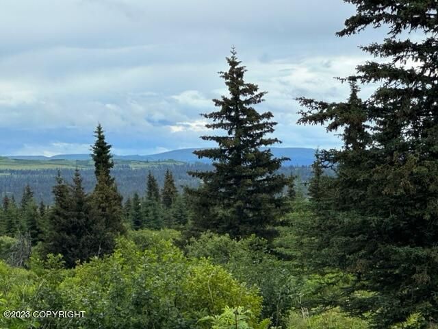 51405 Mossberry Avenue, Homer, AK 99603
