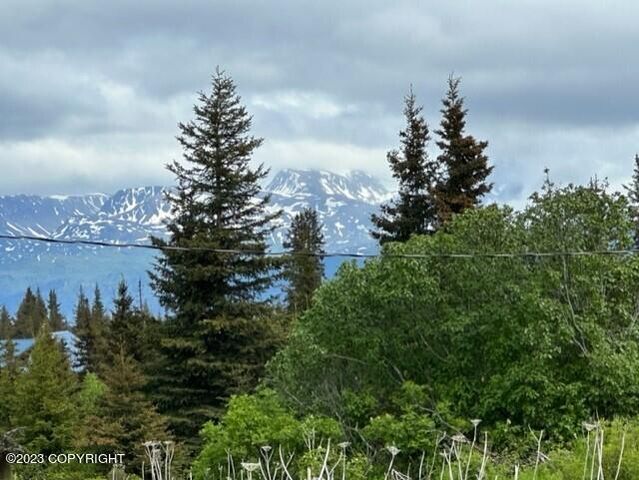 51405 Mossberry Avenue, Homer, AK 99603