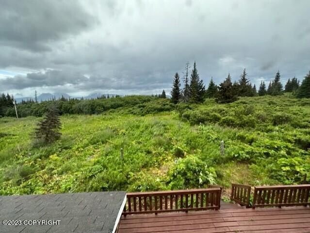 51405 Mossberry Avenue, Homer, AK 99603