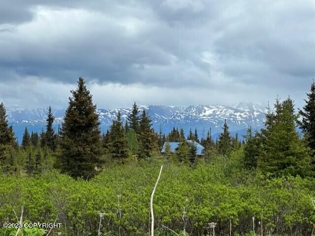 51405 Mossberry Avenue, Homer, AK 99603