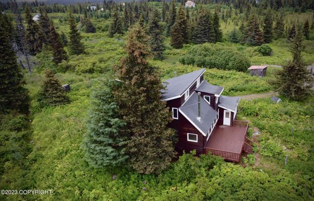 51405 Mossberry Avenue, Homer, AK 99603