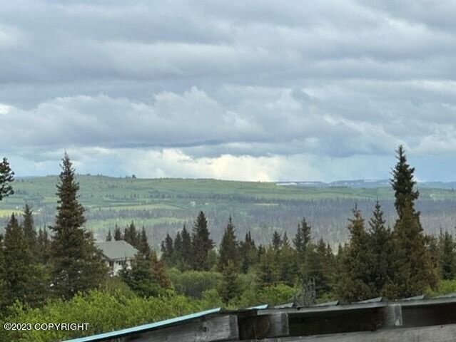 51405 Mossberry Avenue, Homer, AK 99603