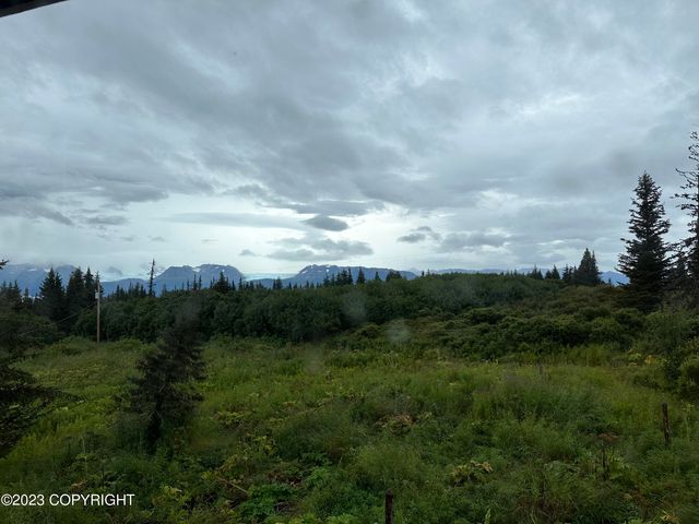 51405 Mossberry Avenue, Homer, AK 99603