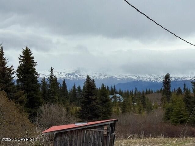 51405 Mossberry Avenue, Homer, AK 99603