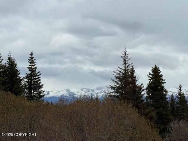 51405 Mossberry Avenue, Homer, AK 99603