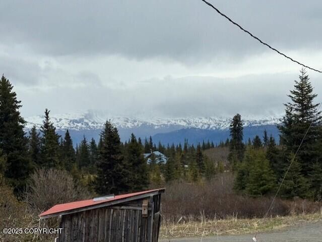 51405 Mossberry Avenue, Homer, AK 99603