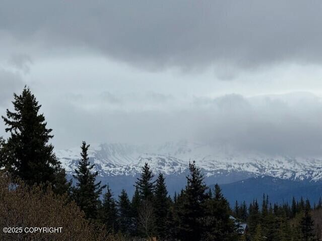 51405 Mossberry Avenue, Homer, AK 99603